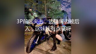    勾搭漂亮嫂子偷情，全程露脸红丝情趣给大哥口交，激情性爱椅主动上位抽插 淫声荡语不断