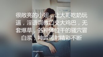 上海小母狗很喜欢口交