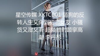 星空传媒 XKTC001 舔狗的反转人生又肏到初恋女友 小骚货又湿又滑 超频抽射颤挛高潮 李丹彤