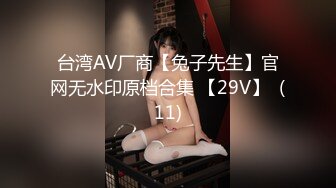 台湾AV厂商【兔子先生】官网无水印原档合集 【29V】  (11)