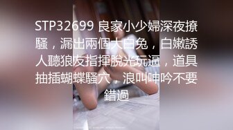 欧美激情A∨在线视频播放