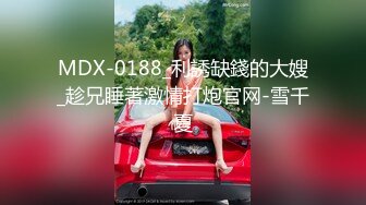 MDX-0233.寻小小.骑乐无穷圣诞夜.麋鹿少女的情趣游戏.麻豆传媒映画