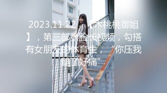 ❤️究极反差骚婊！推特极品女神气质御姐【粉红色海豚】最新订阅，有钱人的性玩物无套啪啪捣白浆