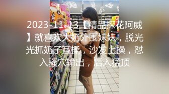 2023-11-13【精品探花阿威】就喜欢大奶外围妹妹，脱光光抓奶子互揉，沙发上操，怼入骚穴输出，后入猛顶