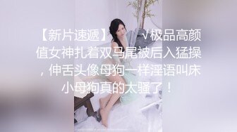 自慰的骚老婆2