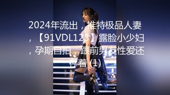 2024年流出，推特极品人妻，【91VDL123】露脸小少妇，孕期自拍，跟前男友性爱还存着 (1)