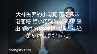 你的11r (1)