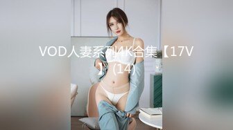 VOD人妻系列4K合集【17V】 (14)