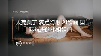 太完美了 满足幻想 AI绘画 国际航班的小姐姐们