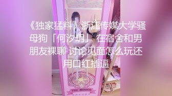 [HJ-026] 隠撮 女教師おしっこ 3 12時限目