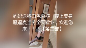 麻豆传媒 肉肉传媒RR-005大尺度模特初次下海