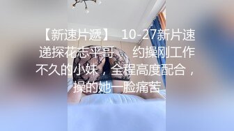 试妆格裙粉内