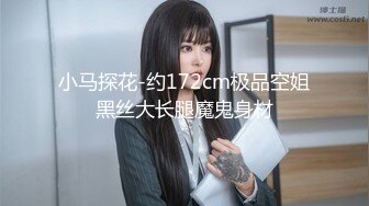 小马探花-约172cm极品空姐黑丝大长腿魔鬼身材