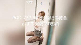 国产麻豆AV 麻豆US LAX0022 POV搭便车时的艳遇 Riley Reign