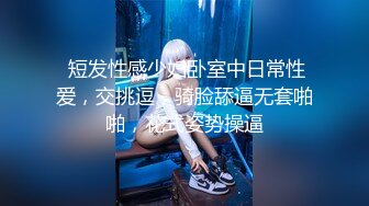 【Stripchat】长得像赵奕欢的大眼美乳女主播「Elyn」穿着油黑丝魅惑自慰爽出阿黑颜【自压水印】