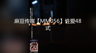 麻豆传媒【MM056】性爱48式