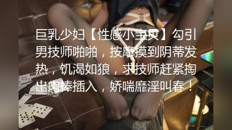 合肥母狗SM露脸调教第二部：三穴齐开，美中不足第一人称时打码了