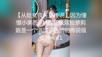 【从处女丧失到传说】因为憧憬小美而DM的超级危险萝莉娘是一个满脑子色情的传说级女孩-cd1