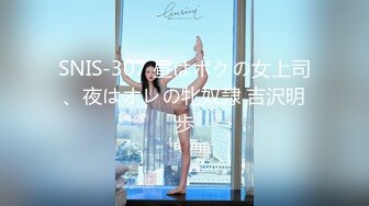 亲がいない日、仆は妹とむちゃくちゃSEXした。 栄川乃亜