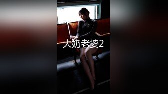 大奶老婆2