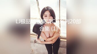 LJ极品地铁高清CD系列20部合集 (1)