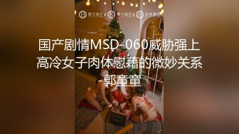 国产剧情MSD-060威胁强上高冷女子肉体慰藉的微妙关系-郭童童