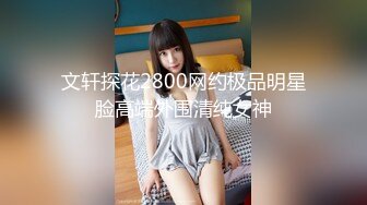 文轩探花2800网约极品明星脸高端外围清纯女神