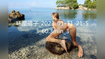 环星晴子_2023-01-31_21-53_60.3min_3