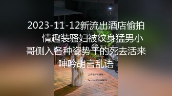 STP33671 糖心Vlog 嫩穴欣奈发情时刻 一线天小骚穴被鸡吧进进出出不停抽打 小欣奈(萝莉小奈)