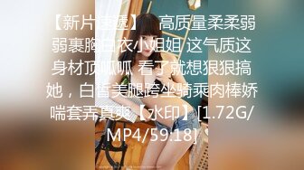 兔子先生TZ-158深夜电车痴女梦