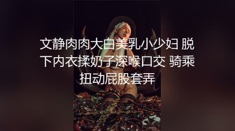 商场女厕偷拍肉丝高跟熟女保养的还不错的小肥B