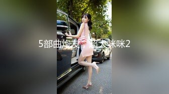 5部曲炮友，超大咪咪2