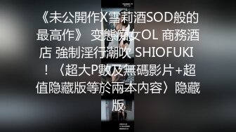 《未公開作X雪莉酒SOD般的最高作》 变態痴女OL 商務酒店 強制淫行潮吹 SHIOFUKI ！〈超大P數及無碼影片+超值隐藏版等於兩本內容〉隐藏版