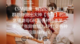 《SM调教✅臀控必享》电_报群最新流出大神【宇轩】的淫荡骚妻母G私拍各种性事第三季~扩张异物插入3P肛交各种极限操作 (6)