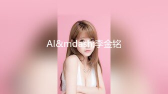 Al&mdash;李金铭