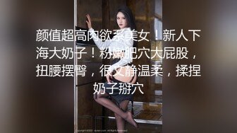 颜值超高肉欲系美女！新人下海大奶子！粉嫩肥穴大屁股，扭腰摆臀，很文静温柔，揉捏奶子掰穴