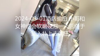 2024-03-01酒店偷拍 小哥和女神约会软磨硬泡一天后终于插入扑上去就狂