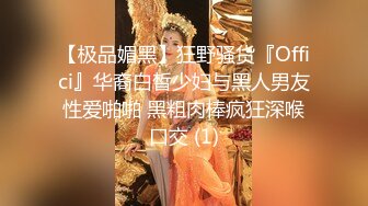 11-6真实换妻 夫妻约单男，3p大战一触即发，黑丝少妇很风骚