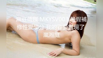 麻豆傳媒 MKYSV003 暑假補修性愛學分 我的春夢實現了 嵐湘庭