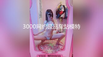 3000网约极品车站模特