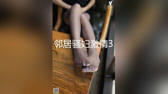 邻居骚妇激情3