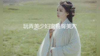 大像传媒之裸條借貸風雲-孟若羽