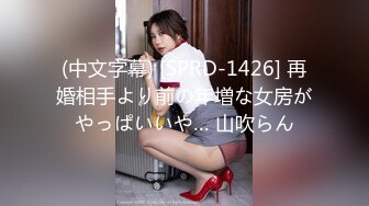 (中文字幕) [SPRD-1426] 再婚相手より前の年増な女房がやっぱいいや… 山吹らん