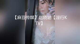 【麻豆传媒】赵晓涵【淫行KTV】