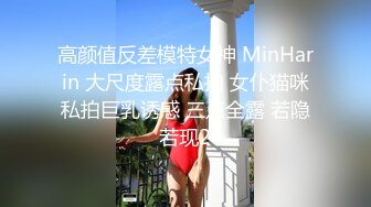 高颜值反差模特女神 MinHarin 大尺度露点私拍 女仆猫咪私拍巨乳诱惑 三点全露 若隐若现2