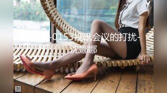 MDX-0153视讯会议的打扰-沈娜娜