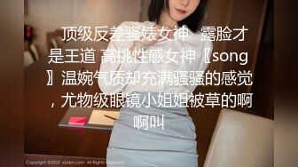 艺校传媒系毕业高挑大长腿美模璐璐酒店大尺度私拍透明黑丝太完美