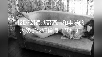 [2DF2]猥琐哥酒店和丰满的大奶子少妇偷情  [BT种子]