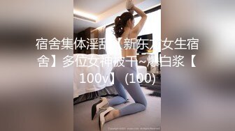 STP29928 國產AV 紅斯燈影像 RS022 巨乳妹搭上性愛巴士 VIP0600