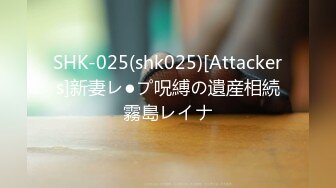 SHK-025(shk025)[Attackers]新妻レ●プ呪縛の遺産相続霧島レイナ